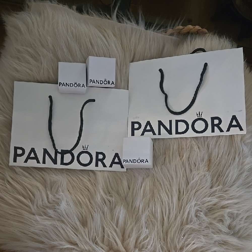 Pandora White Gift Bags and Boxes Set
